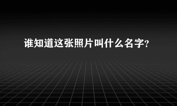 谁知道这张照片叫什么名字？