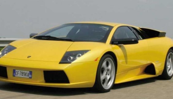 murcielago是大牛还是小牛