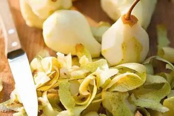 果皮的作用是什么?