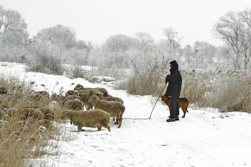 牧羊人连救六名越野赛选手,窑洞生火取暖,这种做法是否正确?