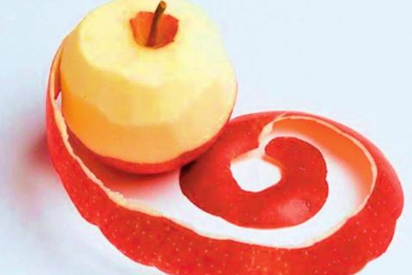 果皮的作用是什么?