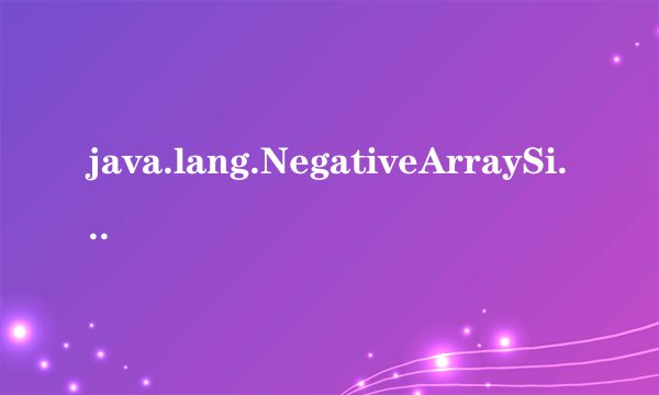 java.lang.NegativeArraySizeException 是什么问题