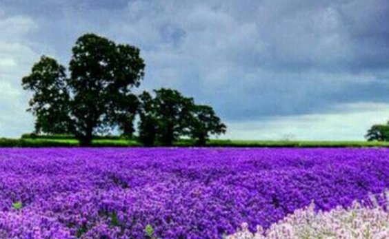 中国三大因果律武器指的是什么？