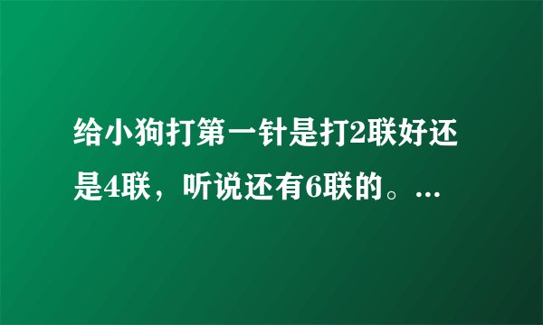 给小狗打第一针是打2联好还是4联，听说还有6联的。。分别说说有哪些不好的地方。。