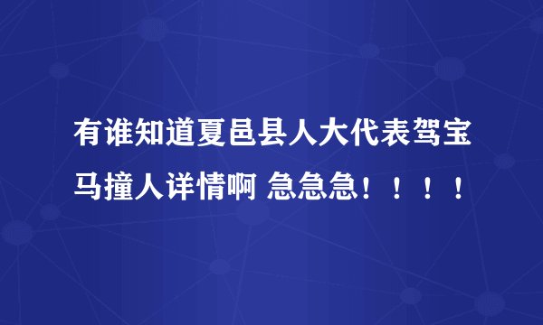有谁知道夏邑县人大代表驾宝马撞人详情啊 急急急！！！！