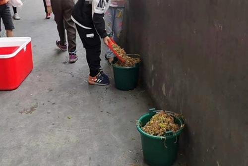 一言不发就集体倒掉营养餐,现在的孩子为何如此“硬核”?
