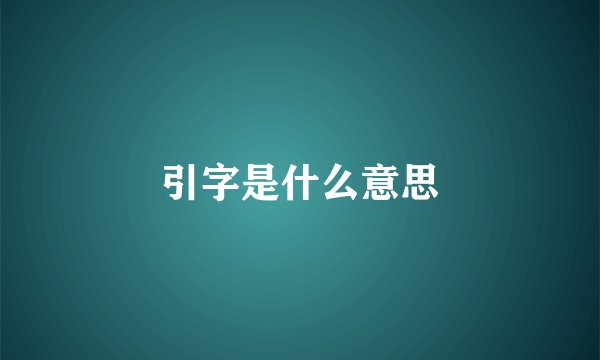 引字是什么意思