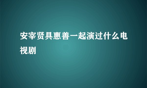 安宰贤具惠善一起演过什么电视剧