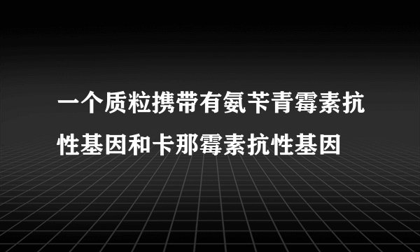 一个质粒携带有氨苄青霉素抗性基因和卡那霉素抗性基因