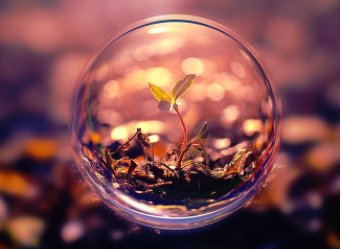 魔幻水晶球推荐理由