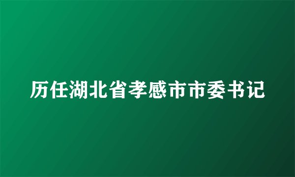 历任湖北省孝感市市委书记