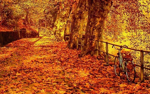 关于秋天的文章