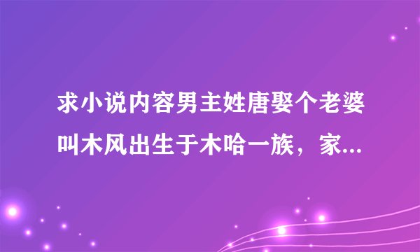 求小说内容男主姓唐娶个老婆叫木风出生于木哈一族，家有三子最小的小名叫唐小唐