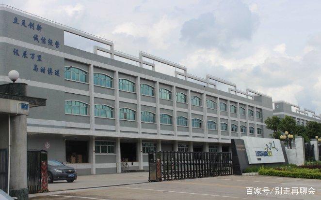 从打工妹到女富豪，王来春是如何实现逆袭的？