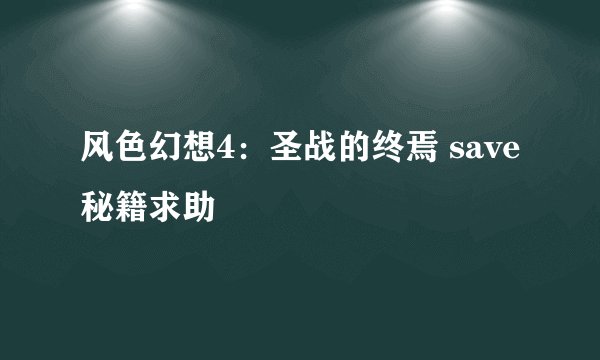 风色幻想4：圣战的终焉 save秘籍求助