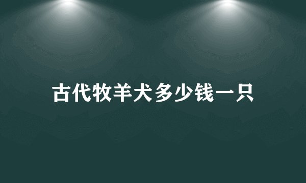 古代牧羊犬多少钱一只