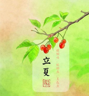 风暖人间草木香,一笺清浅入夏来的意思