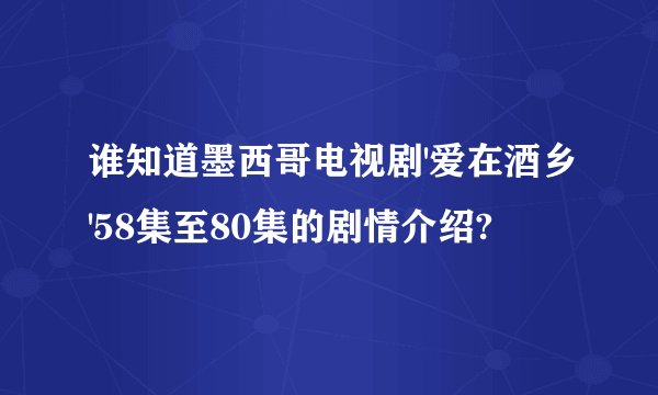 谁知道墨西哥电视剧'爱在酒乡'58集至80集的剧情介绍?