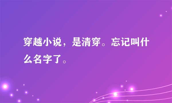 穿越小说，是清穿。忘记叫什么名字了。