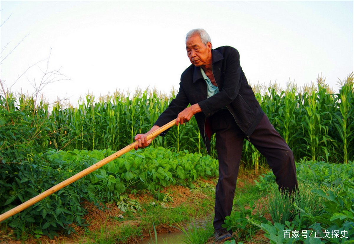 在老家常听老人说起的五伦，究竟是什么样的含义？