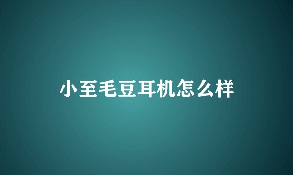 小至毛豆耳机怎么样