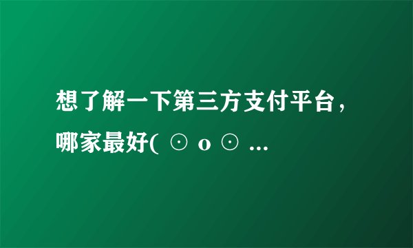 想了解一下第三方支付平台，哪家最好( ⊙ o ⊙ )啊！？