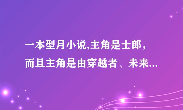 一本型月小说,主角是士郎，而且主角是由穿越者、未来的卫宫士郎融合而成的