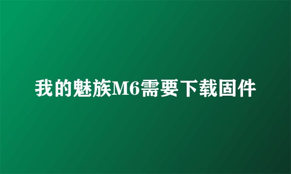 我的魅族M6需要下载固件