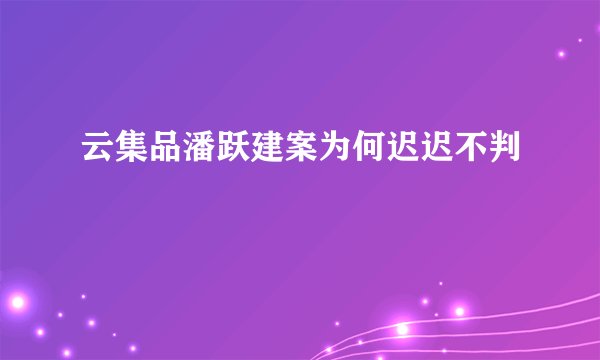 云集品潘跃建案为何迟迟不判