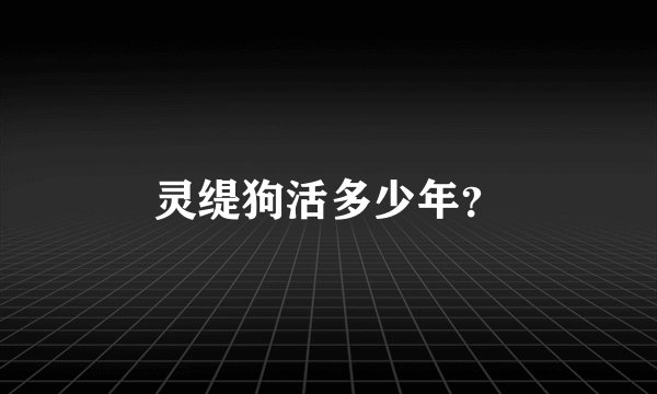 灵缇狗活多少年？