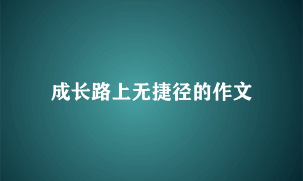 成长路上无捷径的作文