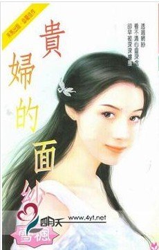 贵妇的面纱的内容简介