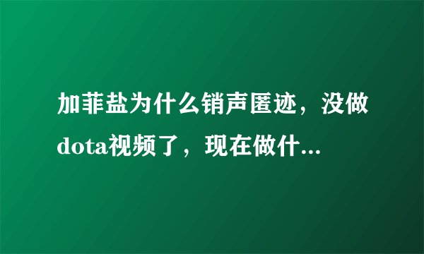 加菲盐为什么销声匿迹，没做dota视频了，现在做什么工作？