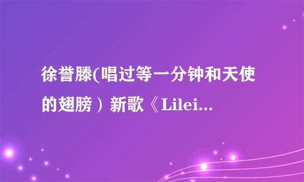 徐誉滕(唱过等一分钟和天使的翅膀）新歌《Lilei&Hanmeimei》的 Lrc 歌词