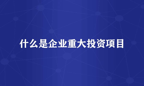 什么是企业重大投资项目