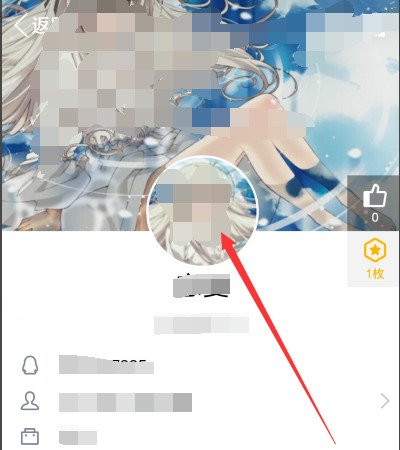 QQ怎么查看历史头像？