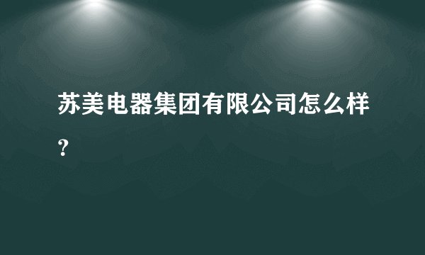苏美电器集团有限公司怎么样？