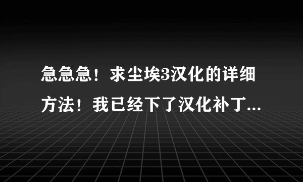 急急急！求尘埃3汉化的详细方法！我已经下了汉化补丁和注册表补丁，可还是不行
