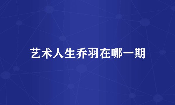 艺术人生乔羽在哪一期