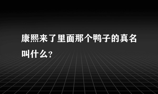康熙来了里面那个鸭子的真名叫什么？