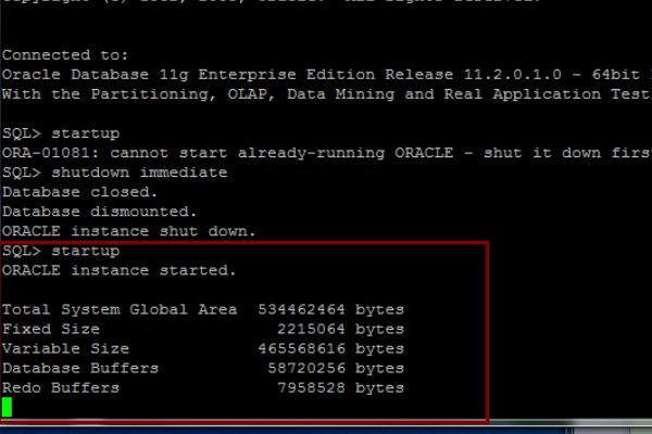 oracle怎么查看实例名
