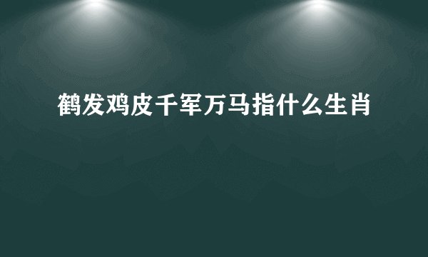 鹤发鸡皮千军万马指什么生肖