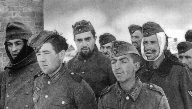 为什么战俘宁愿遭受严刑拷打也不愿意泄露机密?