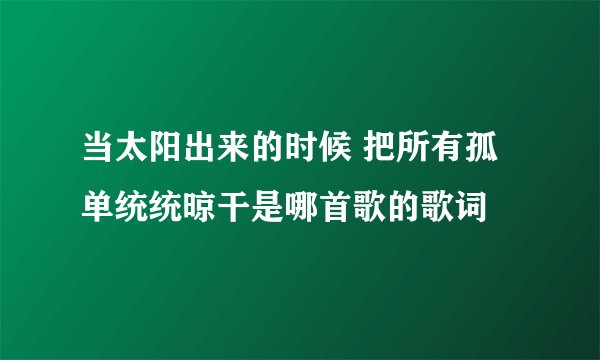 当太阳出来的时候 把所有孤单统统晾干是哪首歌的歌词