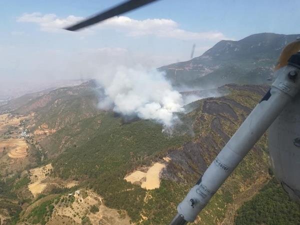 大理市5小时内两地突发山火，凤仪火场复燃火势较大，山火的危害有哪些？
