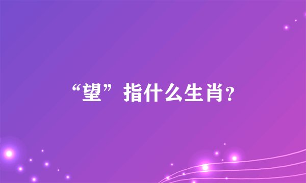 “望”指什么生肖？