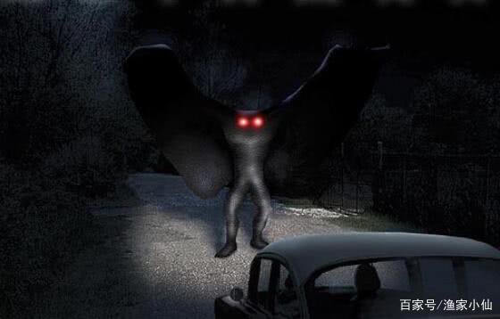 世界存在神秘生物但是官方不承认,真有实际证据吗?