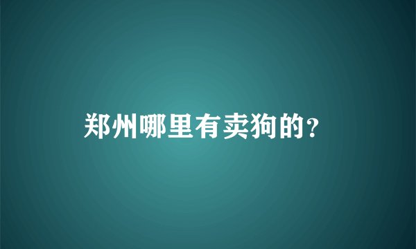 郑州哪里有卖狗的？