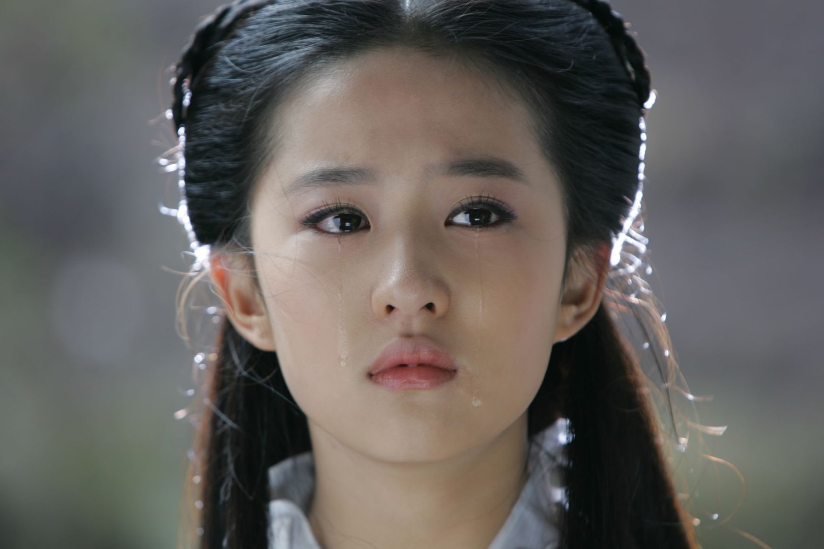 刘亦菲在《神雕侠侣》中扮演的角色?