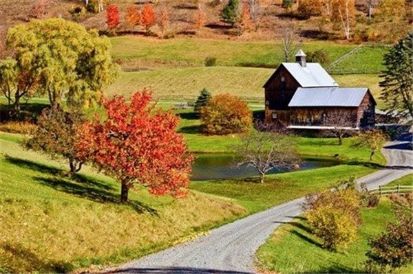食脑虫正穿越美国向北迁移，食脑虫是什么感染后致死率竟达95%？